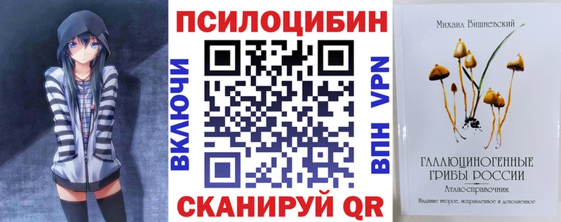 Псилоцибиновые грибы Cubensis blacksprut ССЫЛКА Кострома