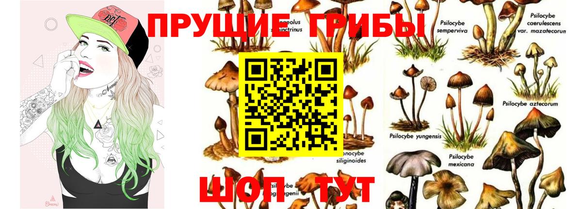 Галлюциногенные грибы мухоморы Кострома