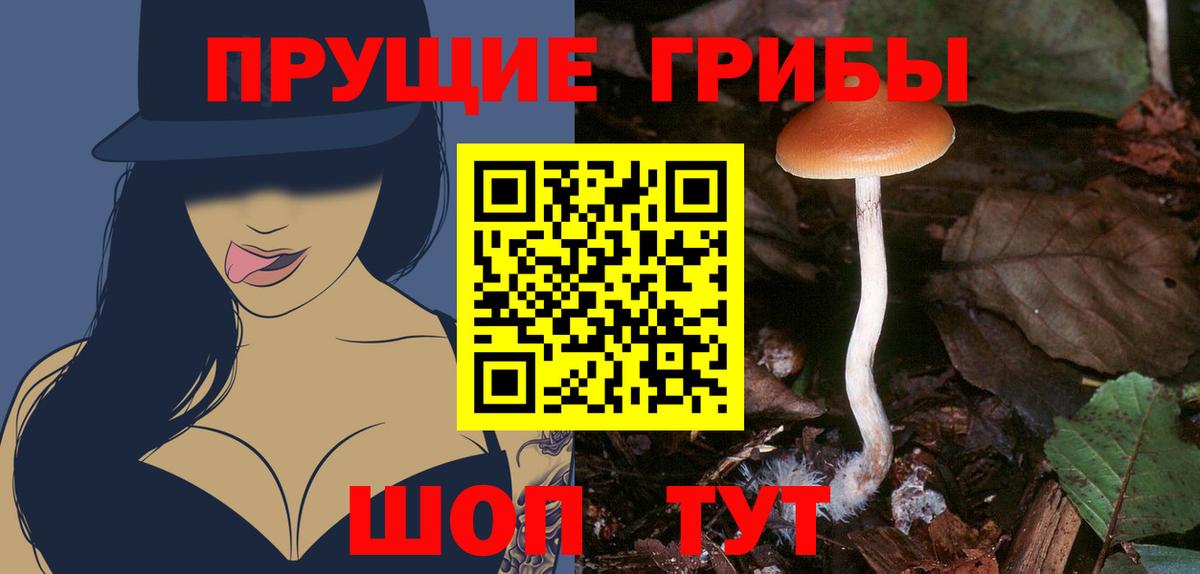 Псилоцибиновые грибы мицелий  наркота  Кострома  Вход с VPN  Псилоцибиновые грибы GOLDEN TEACHER 